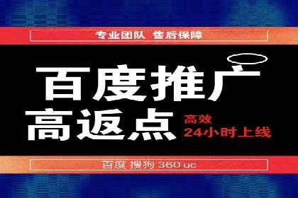 精准投放，高效转化——网站sem托管的胜利案例